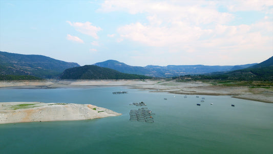 Aydın 4K Drone Footage Arapapıştı 0324