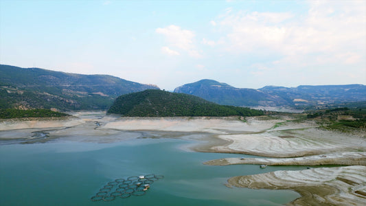 Aydın 4K Drone Footage Arapapıştı 0325