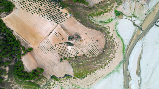 Aydın 4K Drone Footage Arapapıştı 0335