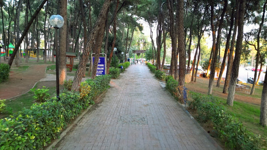 Aydın 4K Drone Footage 0457