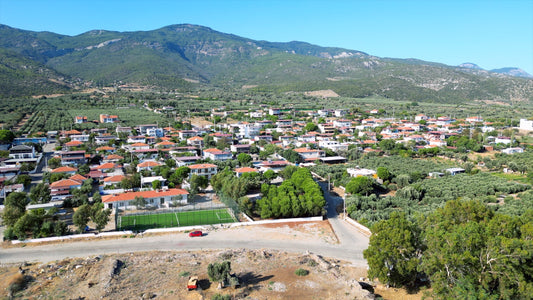 Aydın 4K Drone Footage Doğanbey 0605