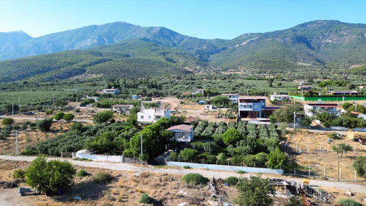 Aydın 4K Drone Footage Doğanbey 0606