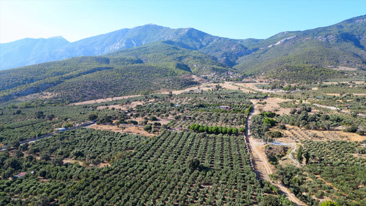 Aydın 4K Drone Footage Doğanbey 0607