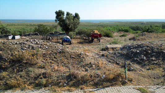 Aydın 4K Drone Footage Doğanbey 0611
