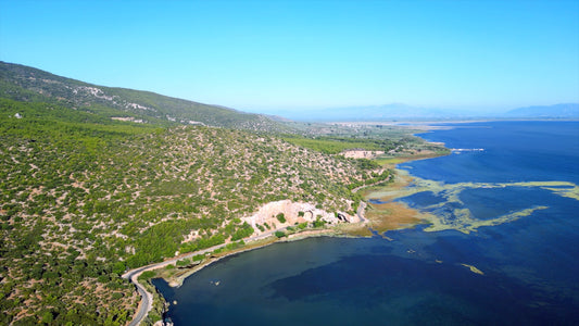 Aydın 4K Drone Footage Doğanbey 0618