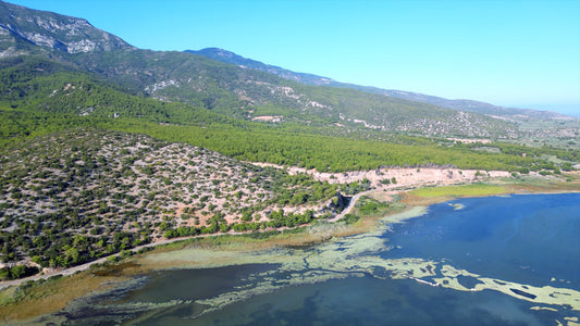Aydın 4K Drone Footage Doğanbey 0620