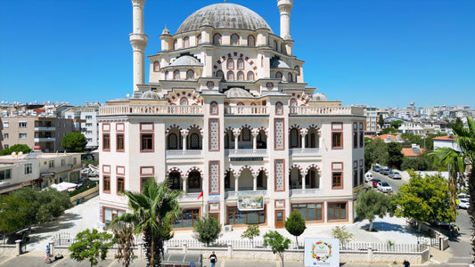 Aydın 4K Drone Footage Didim 0542