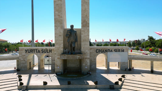 Aydın 4K Drone Footage Didim 0574