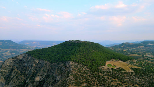 Aydın 4K Drone Footage İnceğiz 0328