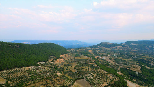Aydın 4K Drone Footage İnceğiz 0329