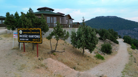 Aydın 4K Drone Footage İnceğiz 0349