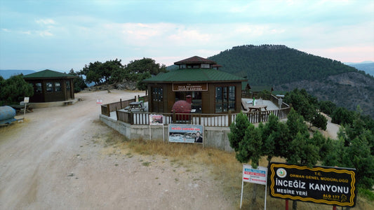 Aydın 4K Drone Footage İnceğiz 0350