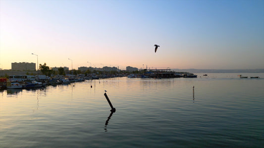 İzmir 4K Drone Footage 0160