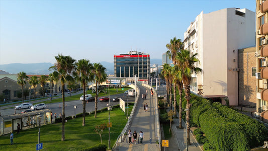 İzmir 4K Drone Footage 0246