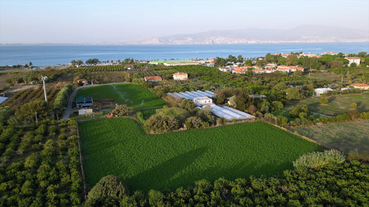 İzmir 4K Drone Footage 0879