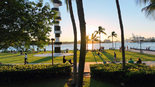 Miami Drone Footage 4K 214