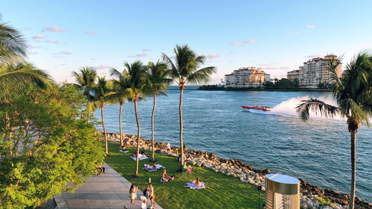 Miami Drone Footage 4K 217