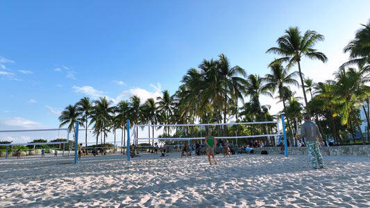 Miami Drone Footage 4K 286