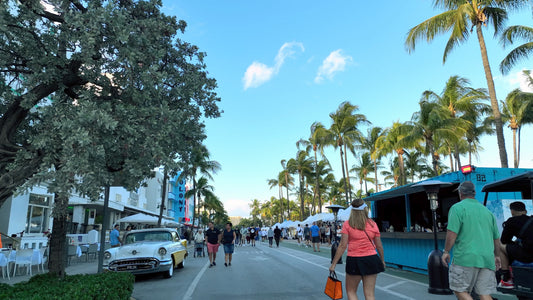 Miami Drone Footage 4K 308