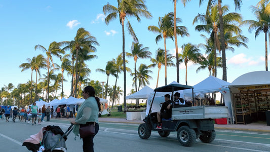 Miami Drone Footage 4K 309