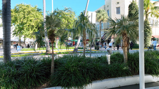 Miami Drone Footage 4K 351