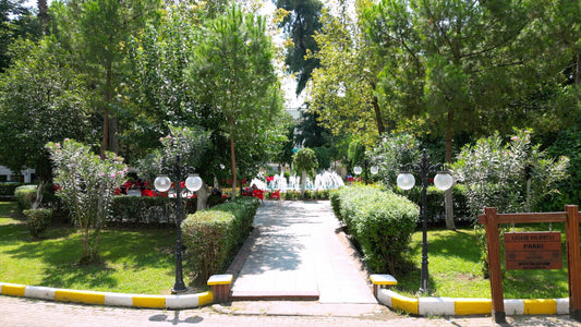 Aydın 4K Drone Footage Nazilli 0369