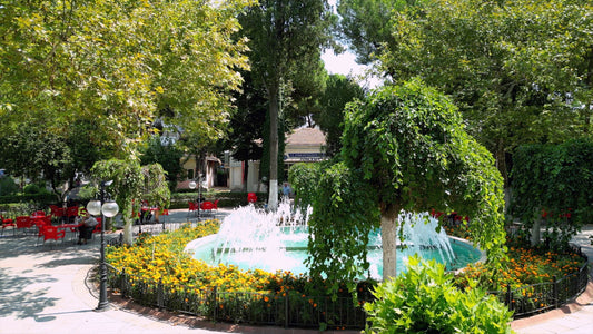 Aydın 4K Drone Footage Nazilli 0372