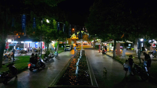 Aydın 4K Drone Footage Nazilli 0492