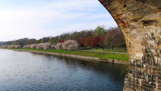 Philadelphia 4K Drone Footage 65432