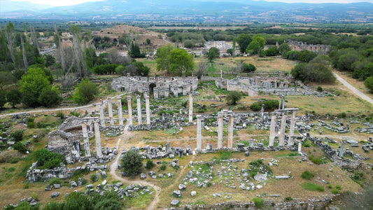 Aydın 4K Drone Footage Afrodisias 0385