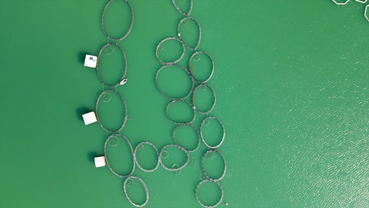 Aydın 4K Drone Footage Arapapıştı 0323