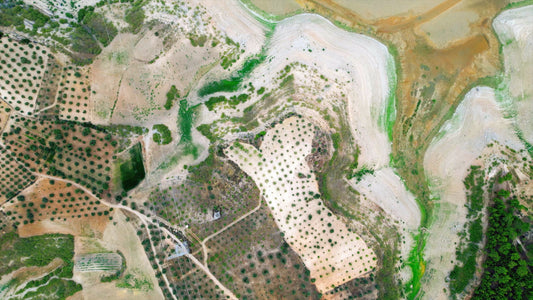 Aydın 4K Drone Footage Arapapıştı 0334