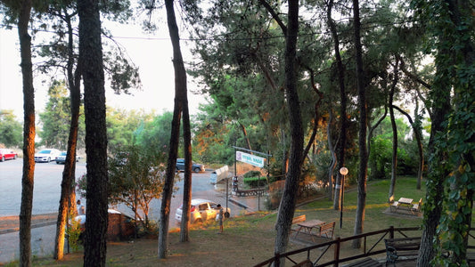 Aydın 4K Drone Footage 0458