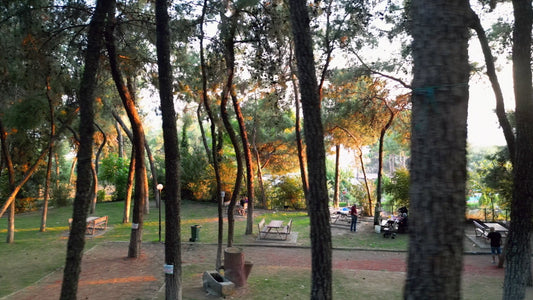 Aydın 4K Drone Footage 0459