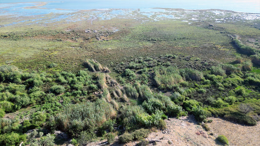 Aydın 4K Drone Footage Doğanbey 0610