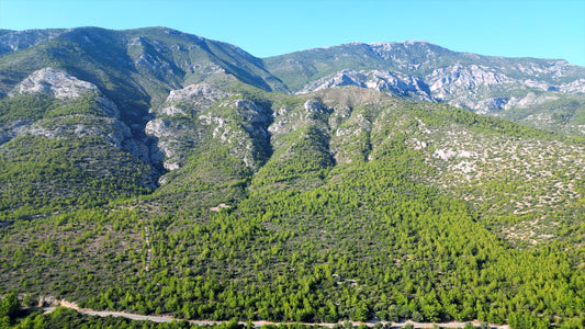 Aydın 4K Drone Footage Doğanbey 0614