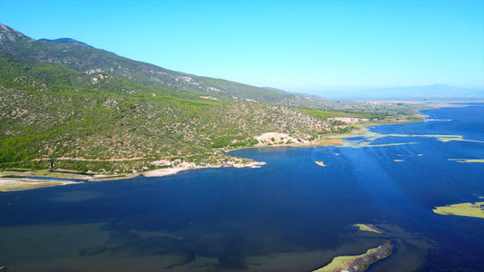 Aydın 4K Drone Footage Doğanbey 0617