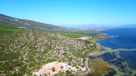 Aydın 4K Drone Footage Doğanbey 0619