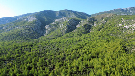 Aydın 4K Drone Footage Doğanbey 0623