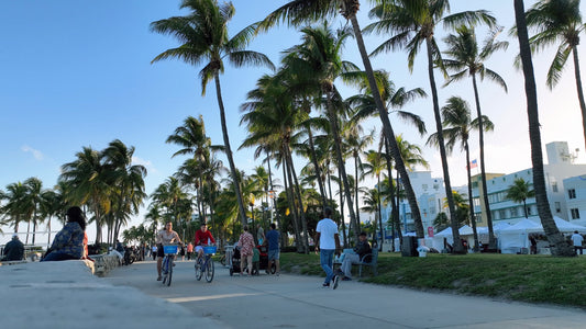 Miami Drone Footage 4K 298