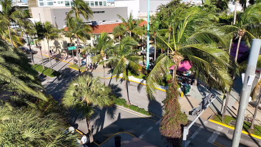 Miami Drone Footage 4K 342