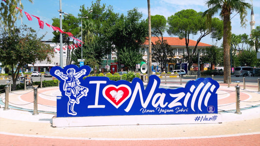 Aydın 4K Drone Footage Nazilli 0354