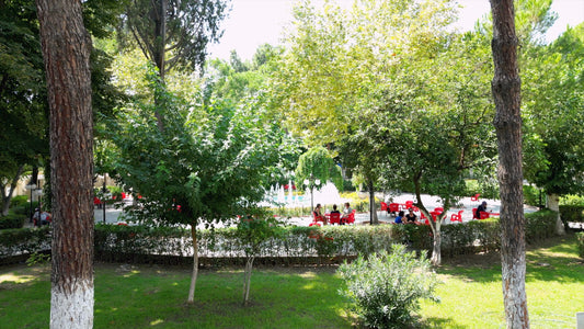 Aydın 4K Drone Footage Nazilli 0368