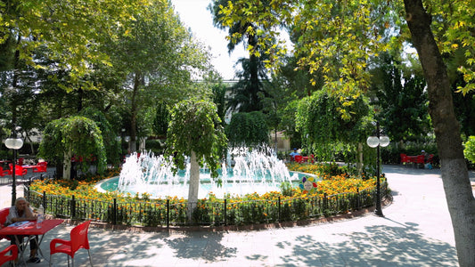 Aydın 4K Drone Footage Nazilli 0370