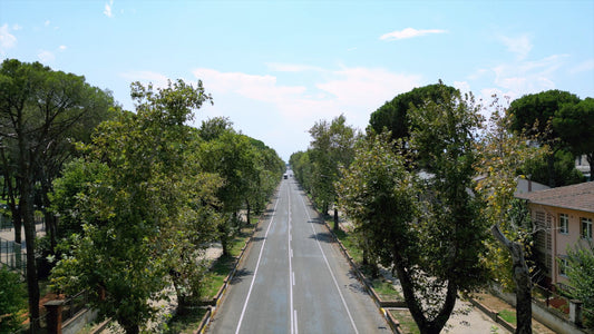 Aydın 4K Drone Footage Nazilli 0379 B