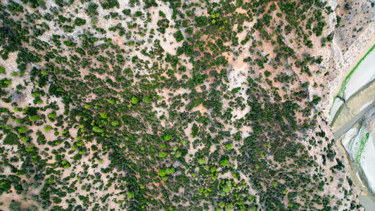 Aydın 4K Drone Footage Arapapıştı 0336