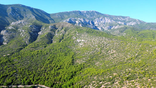 Aydın 4K Drone Footage Doğanbey 0613