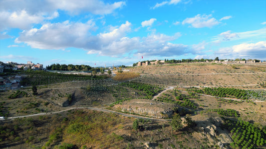 İzmir 4K Drone Footage 0838