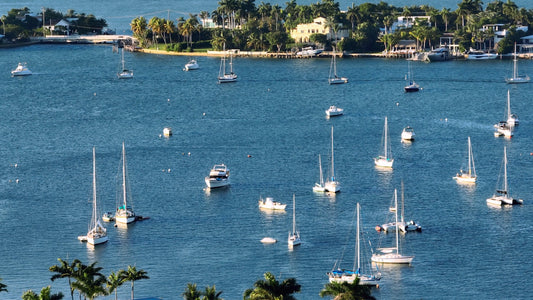 Miami Drone Footage 4K 200