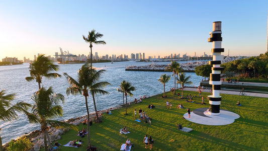 Miami Drone Footage 4K 216